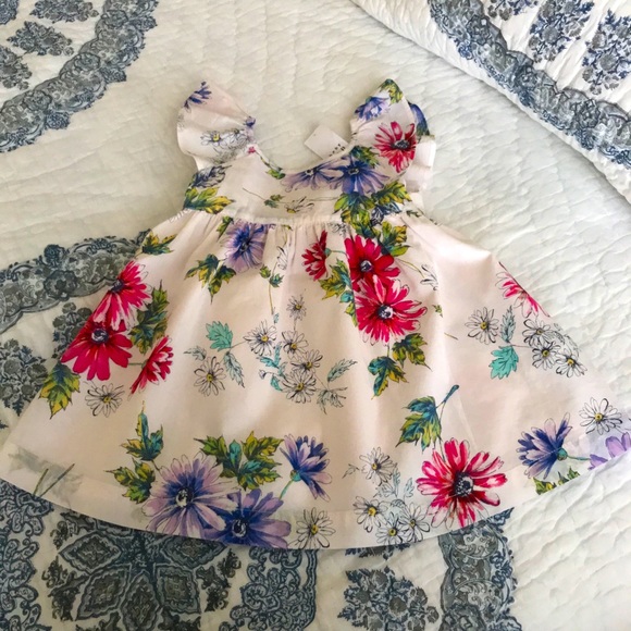 Baby Gap Sweet Ruffle Floral Dress Flutter Blush